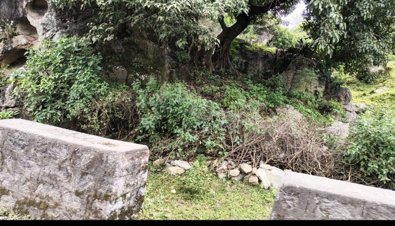 पर्यावरण का विनाश होने से खत्म हो जाएगी वन संपदा एवं जैव विविधता